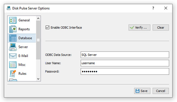 DiskPulse SQL Database Configuration
