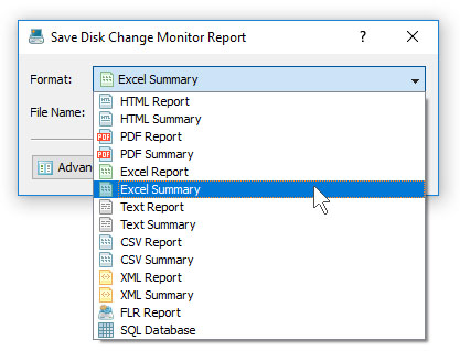 DiskPulse Save Disk Change Monitoring Excel Report