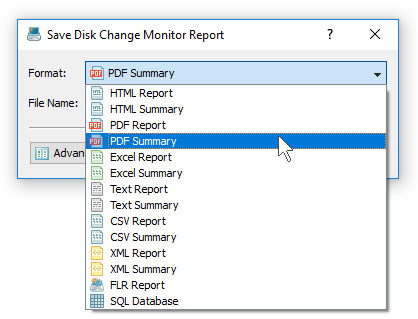 DiskPulse Save Disk Change Monitoring PDF Report