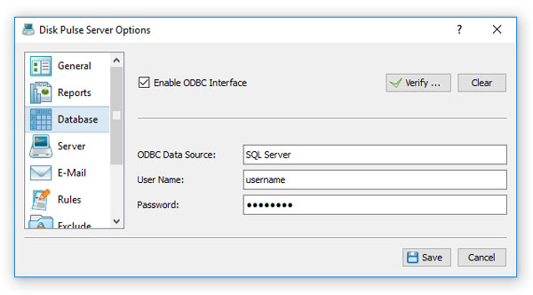 DiskPulse Server SQL Database Configuration